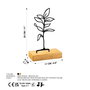 Aberto Design Sapling - Black